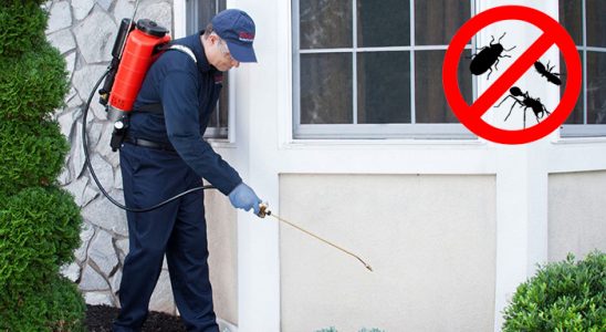 Karaçoban Akrep İlaçlama böcek ilaçlama ve haşere kontrolü — ilaclama-tr.com
